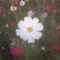 r (@__irs2) Twitter profile photo