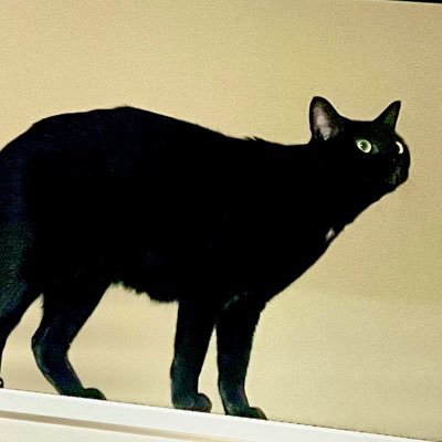 emerrrrgency's profile picture. SNSなどで結婚報告などするやつ生かしてなどおけない