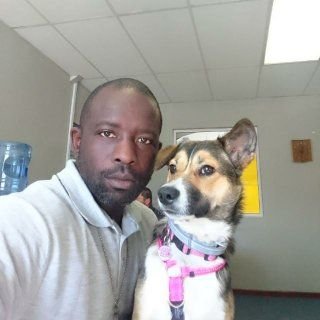 I'm a dog that every K9 hates and a hound that every feline likes