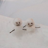 yol (@daljungi) 's Twitter Profile Photo