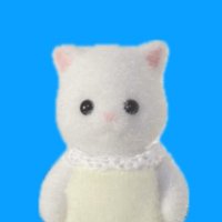 ざらめ (@nanika898) 's Twitter Profile