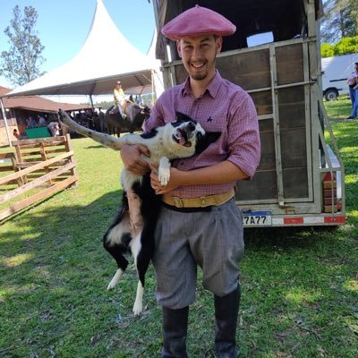 #EmaterRS • Border Collie de Pastoreio 🐺🐑🐂 • 🇧🇷