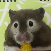 ハム川さん🐹🍓 (@pekoritsubu0520) 's Twitter Profile