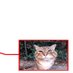 morio (@afatcat76) Twitter profile photo morio (@afatcat76) Twitter profile photo