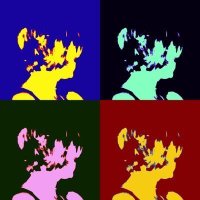 Pevenly (@pevenly1) 's Twitter Profile Photo Pevenly (@pevenly1) 's Twitter Profile Photo