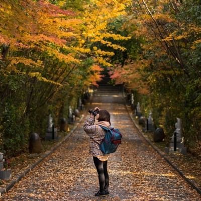 はる Profile