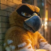 Chalur (@chalurburd) 's Twitter Profile