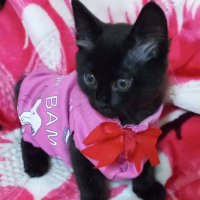 gamal saleh (@gamals9731) Twitter profile photo