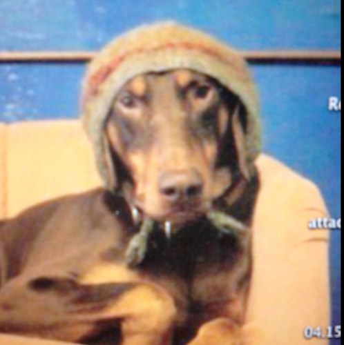 hilarynicole's profile picture. bad sleeper with strong opinions