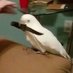birv (@murderbirv) Twitter profile photo birv (@murderbirv) Twitter profile photo
