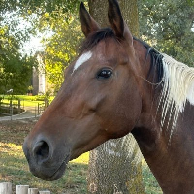 PauloC18136407's profile picture. 