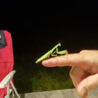 Joanna Drobna (@jo12dro) 's Twitter Profile