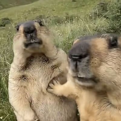 blazord162's profile picture. Just sharing my journey in analytics & learning. Not financial advice, not here to sell anything.