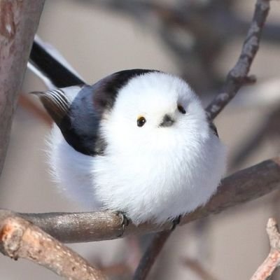 IVIKU_29's profile picture. :)