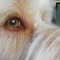 Lesley Mckeand (@lesleymckeand) 's Twitter Profile Photo