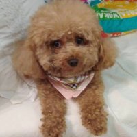 0XJOB 老陈 (@0xlaochen) 's Twitter Profile Photo 0XJOB 老陈 (@0xlaochen) 's Twitter Profile Photo