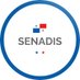 SENADIS Pmá (@senadispma) Twitter profile photo SENADIS Pmá (@senadispma) Twitter profile photo