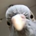 Eve (@r3v0l0v3r) Twitter profile photo Eve (@r3v0l0v3r) Twitter profile photo