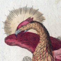Eight Eyed Eel (@8eyedeel) 's Twitter Profile Photo Eight Eyed Eel (@8eyedeel) 's Twitter Profile Photo