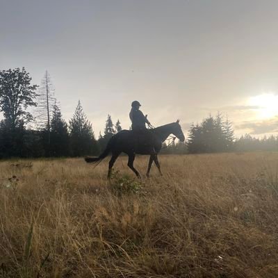 Christi10698505's profile picture. I AM A BIOLOGICAL WOMAN STANDING FOR BIOLOGICAL  WOMEN. I LOVE HORSES. PINEAPPLE BELONGS ON PIZZA.