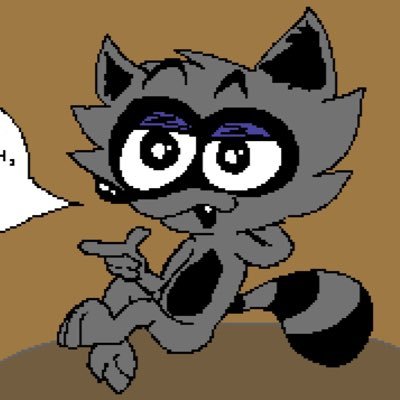 raccatoons 🌙さんのプロフィール画像