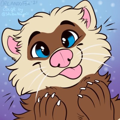 Dook Ferret🏳️‍🌈さんのプロフィール画像