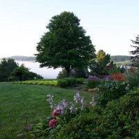 Gislain G (@gisg2025) 's Twitter Profile