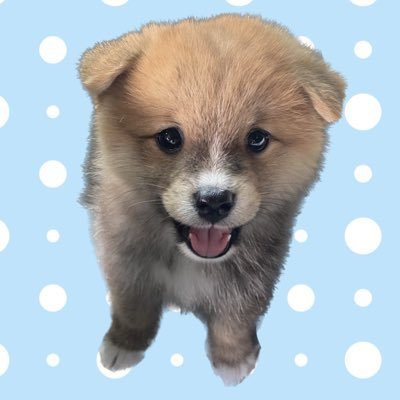 Shigeyo1825095's profile picture. 