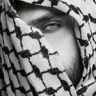 AlRaqy19102's profile picture. 