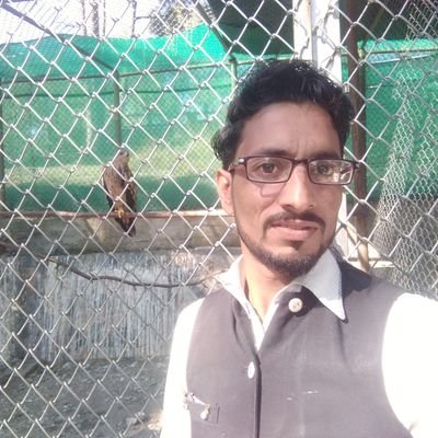 mohammaday47450's profile picture. 