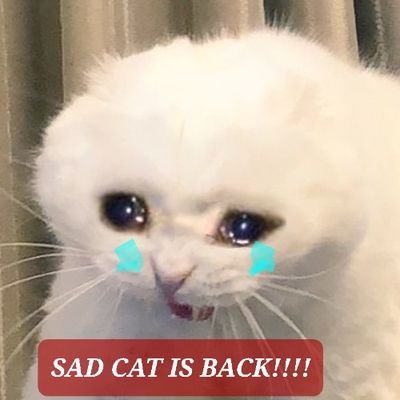 krico_32's profile picture. 