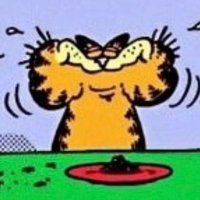 Sage (@sometimesitbee) 's Twitter Profile