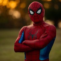 SpideyBoiii (@fnwebslinger) 's Twitter Profile