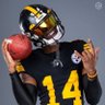 _LaRue1's profile picture. @Steelers