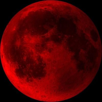 cervenyspln's profile picture. he/him