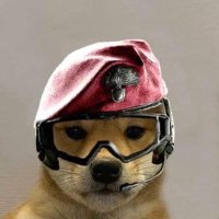 らどるちぇ🍹 (@radonei_) 's Twitter Profile