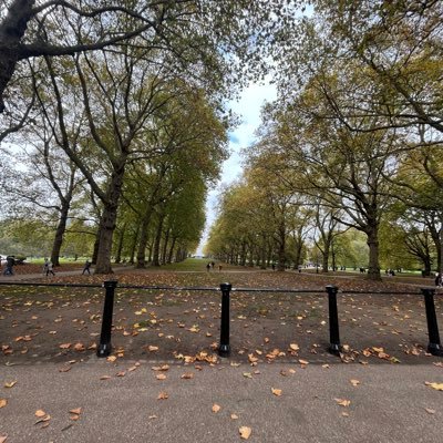 An educator researching policy & reform in higher education| PhD at KCL | Art| linguistics|