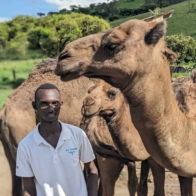 Doing Animal production at UR, Passionate about Animal Caring🐤🐤//
CO-Founder &MD of WBF 🇷//
Tel:0780043911
Email; iradukundaeugene2000@gmail.com