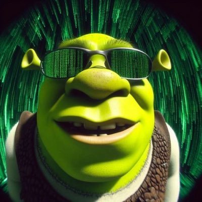 blossomspride's profile picture. the s in sil stands for shrek🤤
