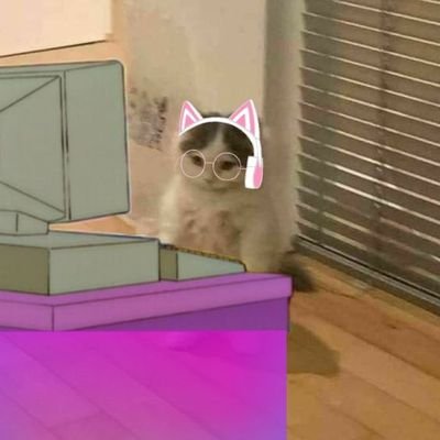 mollys10xmeme's profile picture. Do only good everyday.