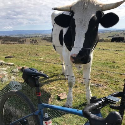 raymarcelo's profile picture. 