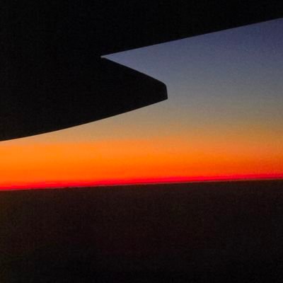 0X_T_X0's profile picture. 