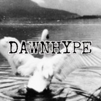 𓅭 (@_dawnhype) 's Twitter Profile