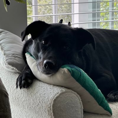 RH_Coleman's profile picture. Just a twitter observer