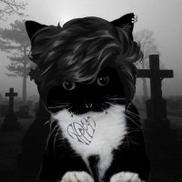 Sangue Burro (@fentanyldasilva) 's Twitter Profile Photo Sangue Burro (@fentanyldasilva) 's Twitter Profile Photo