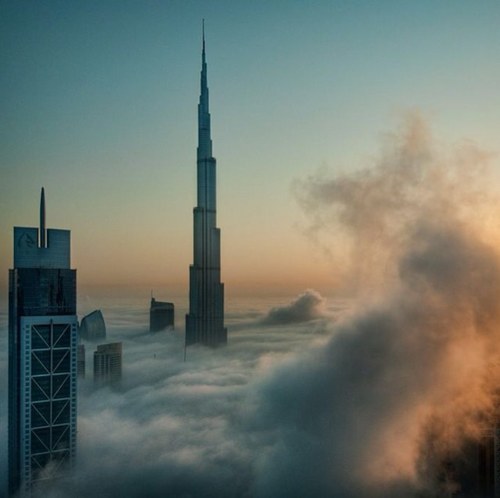 guytz74's profile picture. 