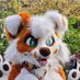 Koda (@kodacollie_) Twitter profile photo Koda (@kodacollie_) Twitter profile photo