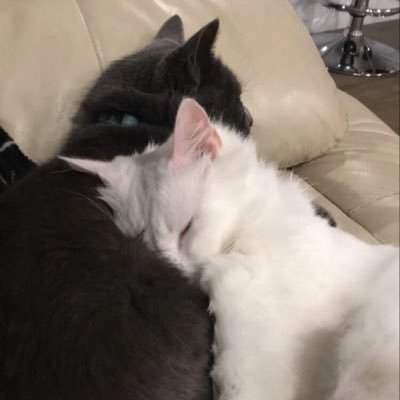 i1ovh_'s profile picture. يهونها الله وتمُر.