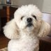 Lilia Inés Zea Avend (@lilia_zea) Twitter profile photo Lilia Inés Zea Avend (@lilia_zea) Twitter profile photo