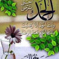 ali mousa (@alimousa1236958) 's Twitter Profile